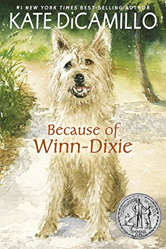 realistic fiction books