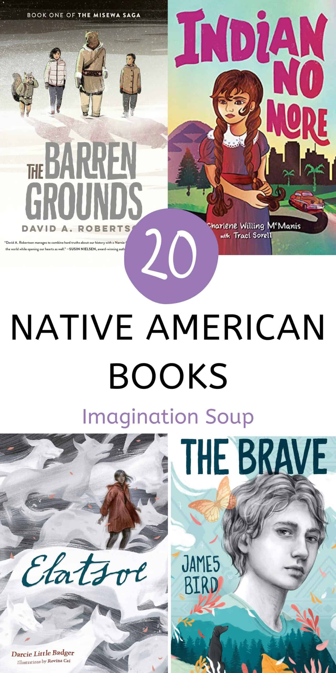 Middle Grade Native American Books