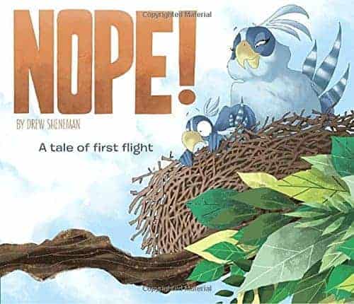 wordless picture books