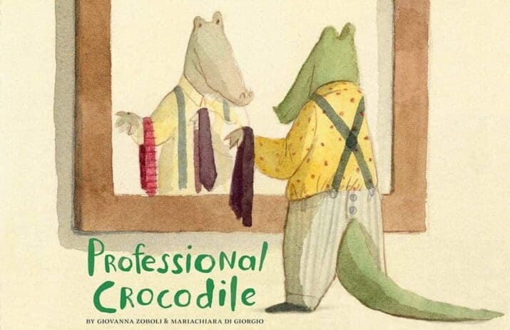 wordless picture books