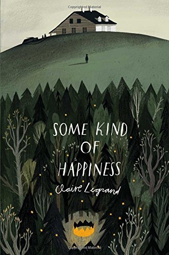 Some Kind of Happiness Meaningful Realistic Chapter Books