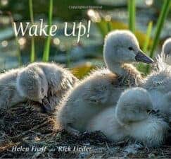 New Spring Books for Kids About Nature and Animals Wake Up! by Helen Frost New Spring Books for Kids About Nature and Animals